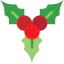 Mistletoe 图标 64x64