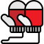 Mittens icon 64x64