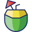 Coconut icon 64x64
