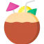 Coconut icon 64x64