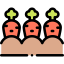 Carrots icon 64x64