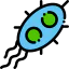 Virus icon 64x64