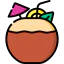 Coconut icon 64x64