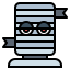 Mummy icon 64x64
