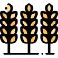 Wheat icon 64x64