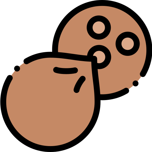 Coconut icon