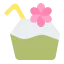 Coconut drink icon 64x64