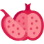 Pomegranate icon 64x64