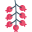 Berries Ikona 64x64