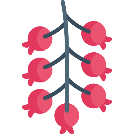 Berries icon