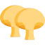 Mushrooms icon 64x64