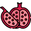 Pomegranate icon 64x64