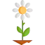 Flower icon 64x64