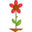 Flower icon 64x64