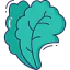 Lettuce icon 64x64