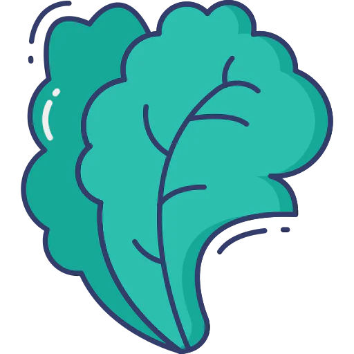 Lettuce icon