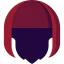 Wig アイコン 64x64