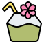 Coconut drink icon 64x64