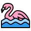 Flamingo icon 64x64