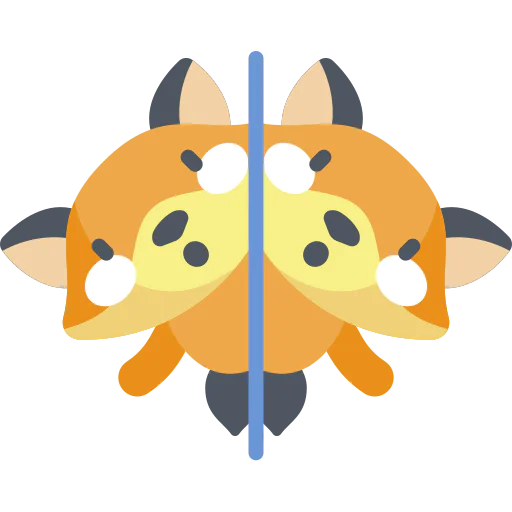 Mirror icon