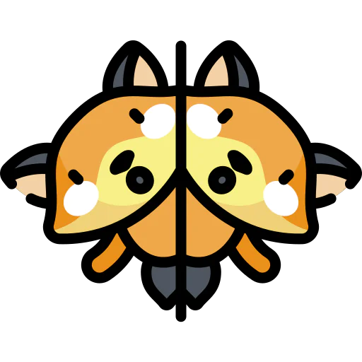 Mirror icon