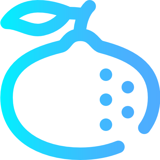 Orange icon