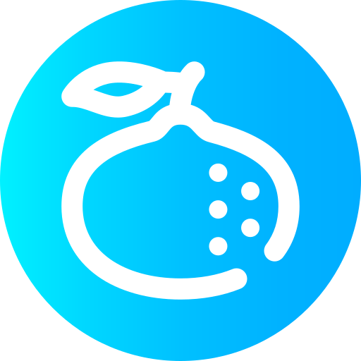 Orange icon