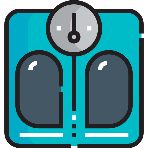 Scale icon