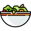 Salad icon 64x64