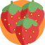 Berries Ikona 64x64