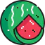 Watermelon icon 64x64