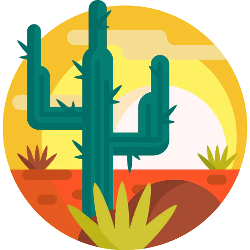 Cactus icon