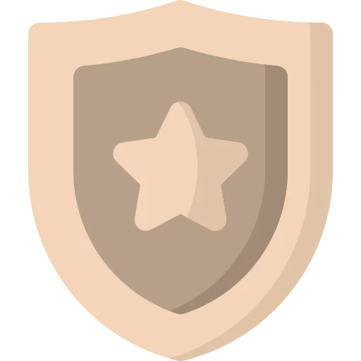 Shield icon