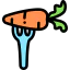 Carrot icon 64x64