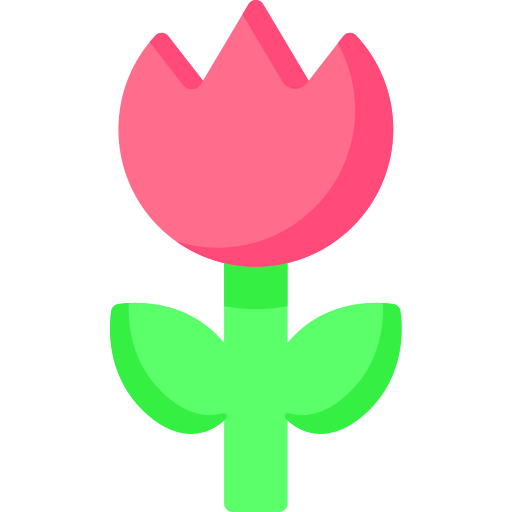 Macro icon