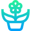 Flower icon 64x64