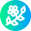 Branch Ikona 64x64
