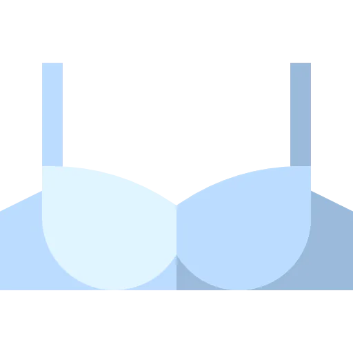 Bra icon