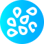 Sesame icon 64x64
