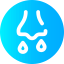 Nose Ikona 64x64