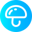 Mushrooms icon 64x64