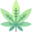 Marijuana icon 64x64