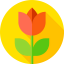 Tulip Symbol 64x64