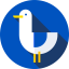 Seagull icon 64x64