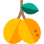 Fruit icon 64x64