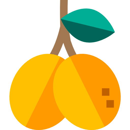 Fruit icon