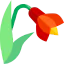 Amaryllis icon 64x64