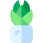 Succulent icon 64x64