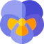 Violet icon 64x64
