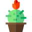 Cactus icon 64x64